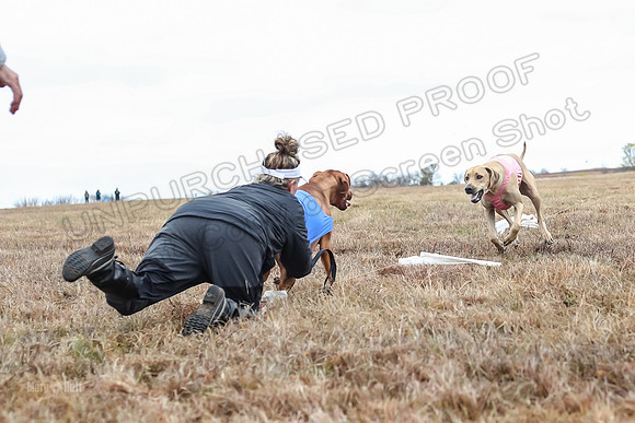 Prelims Specials 4, Fia Nilla Zoey-4957