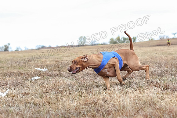 Prelims Specials 4, Fia Nilla Zoey-4941