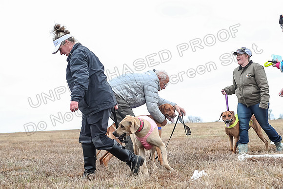 Prelims Specials 4, Fia Nilla Zoey-4983