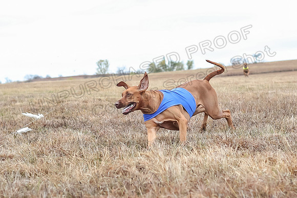 Prelims Specials 4, Fia Nilla Zoey-4940