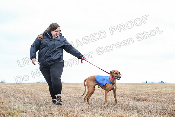 Prelims Open 2, Islay Poppy Shiner-4632