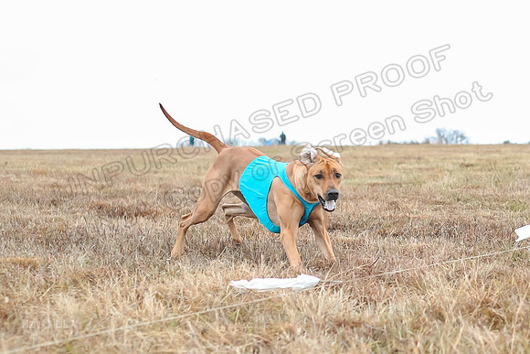 Prelims Specials 1, Spud Tori Sonora-4682
