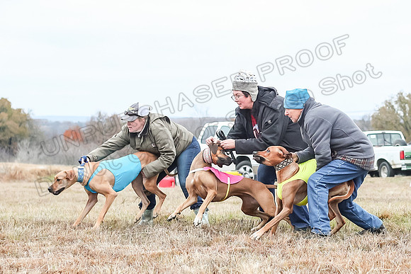 Prelims Specials 1, Spud Tori Sonora-4642