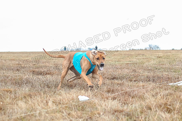 Prelims Specials 1, Spud Tori Sonora-4681