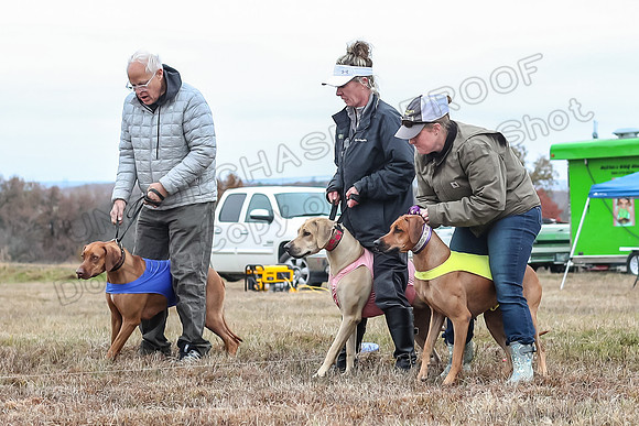 Prelims Specials 4, Fia Nilla Zoey-4893
