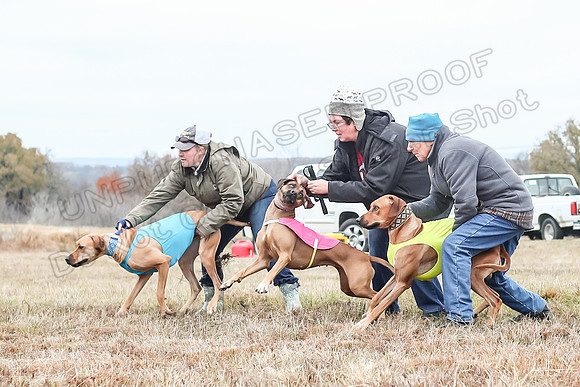 Prelims Specials 1, Spud Tori Sonora-4643