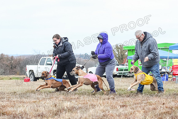 Prelims Open 2, Islay Poppy Shiner-4569