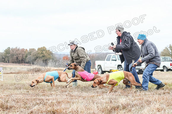 Prelims Specials 1, Spud Tori Sonora-4648