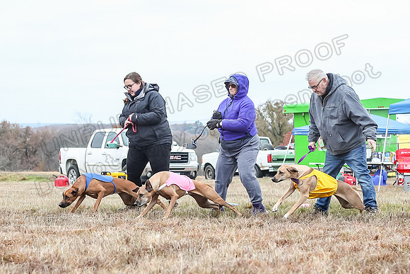 Prelims Open 2, Islay Poppy Shiner-4571