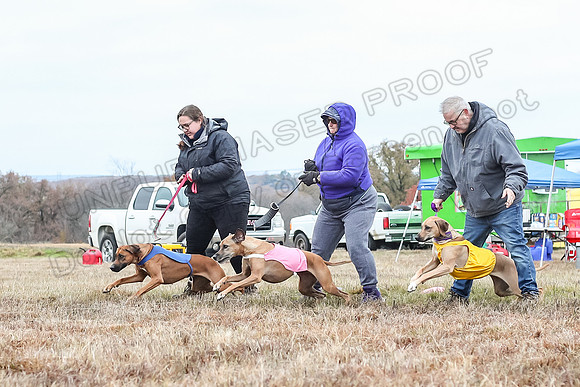 Prelims Open 2, Islay Poppy Shiner-4570