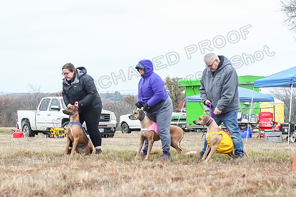 Prelims Open 2, Islay Poppy Shiner-4564