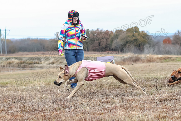 Prelims Specials 4, Fia Nilla Zoey-4907