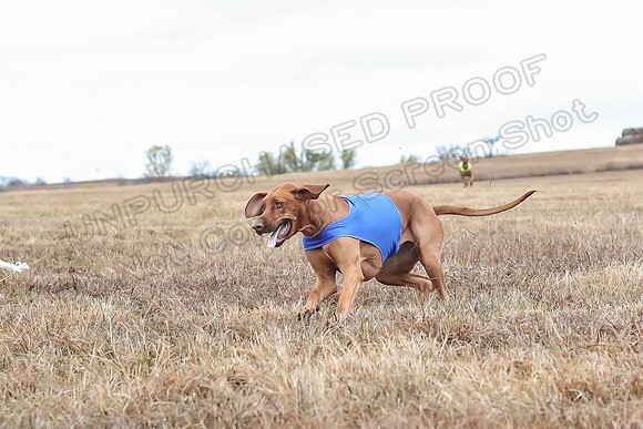 Prelims Specials 4, Fia Nilla Zoey-4939