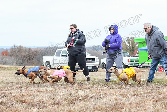 Prelims Open 2, Islay Poppy Shiner-4574