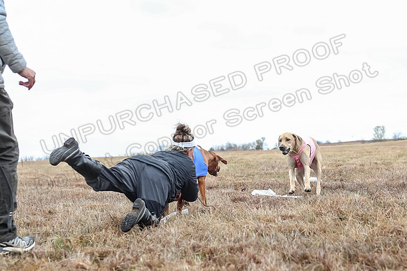 Prelims Specials 4, Fia Nilla Zoey-4959