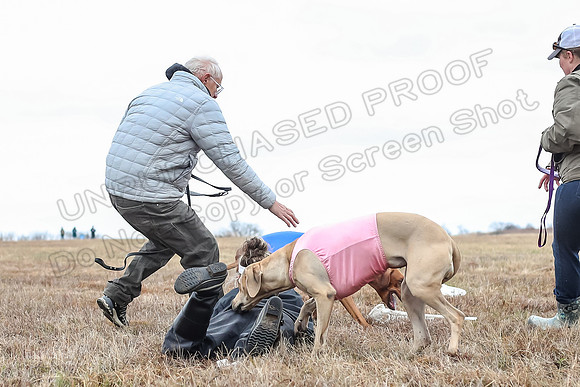 Prelims Specials 4, Fia Nilla Zoey-4974