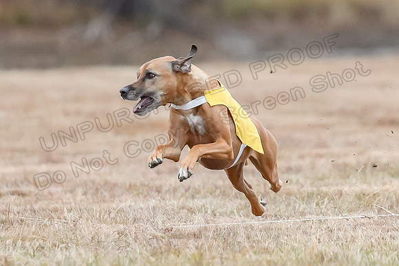 Finals Open 1, Poppy Shiner Zhrya-6166
