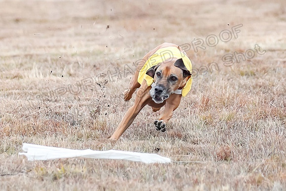 Finals Open 1, Poppy Shiner Zhrya-6179