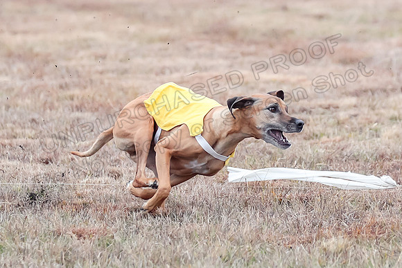 Finals Open 1, Poppy Shiner Zhrya-6185