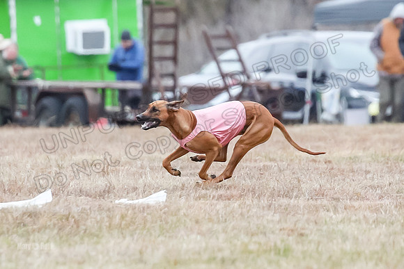 Finals Open 1, Poppy Shiner Zhrya-6198