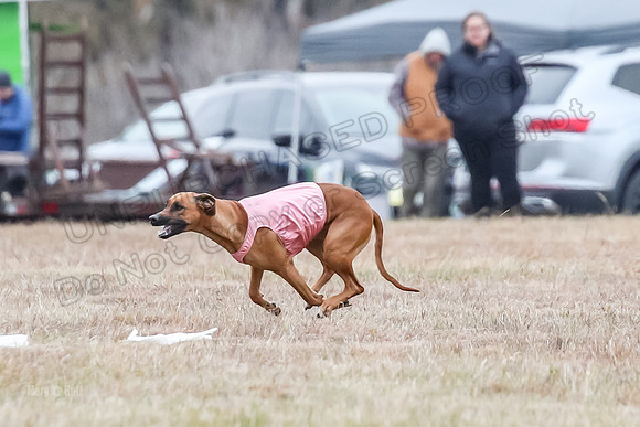 Finals Open 1, Poppy Shiner Zhrya-6197