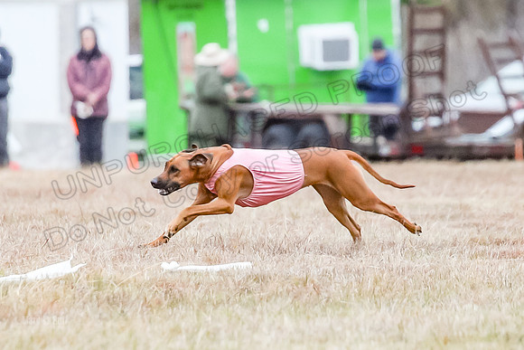 Finals Open 1, Poppy Shiner Zhrya-6200