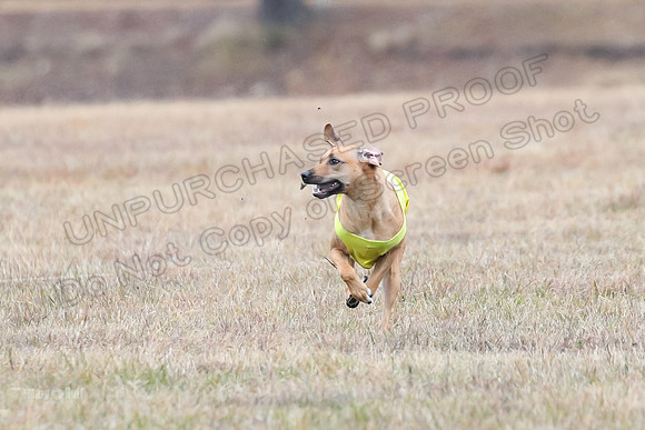 Finals Open 2, Islay Denny Taz-6229