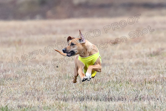 Finals Open 2, Islay Denny Taz-6231