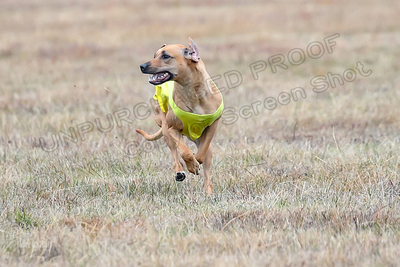 Finals Open 2, Islay Denny Taz-6235