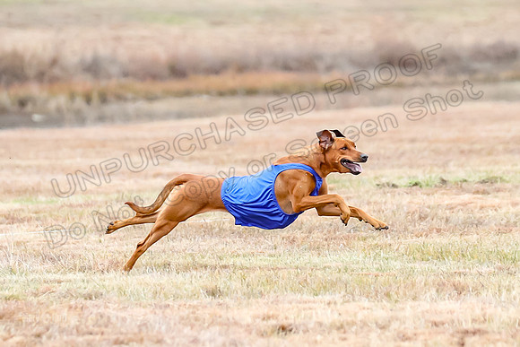 Finals Open 2, Islay Denny Taz-6259