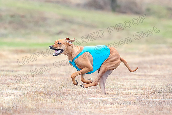 Finals Specials 1, Zoey Fia Sonora-6284