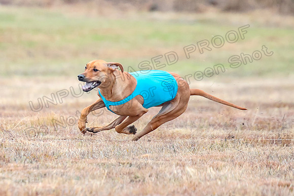 Finals Specials 1, Zoey Fia Sonora-6288