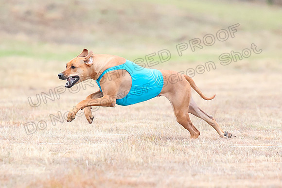 Finals Specials 1, Zoey Fia Sonora-6285