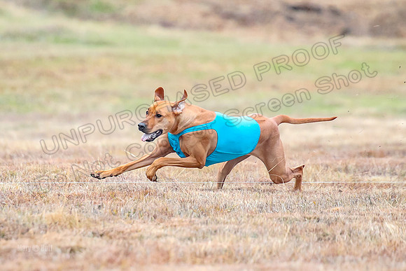 Finals Specials 1, Zoey Fia Sonora-6289