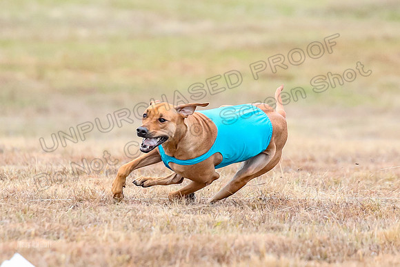 Finals Specials 1, Zoey Fia Sonora-6292