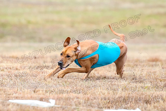 Finals Specials 1, Zoey Fia Sonora-6293