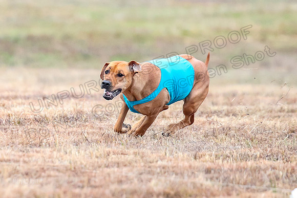 Finals Specials 1, Zoey Fia Sonora-6295