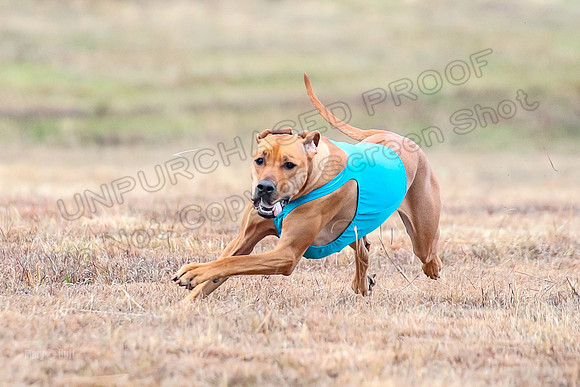 Finals Specials 1, Zoey Fia Sonora-6298