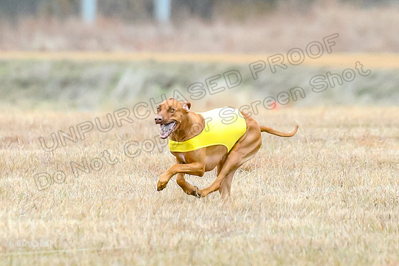 Finals Specials 1, Zoey Fia Sonora-6315