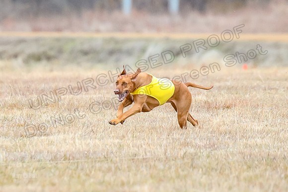 Finals Specials 1, Zoey Fia Sonora-6316