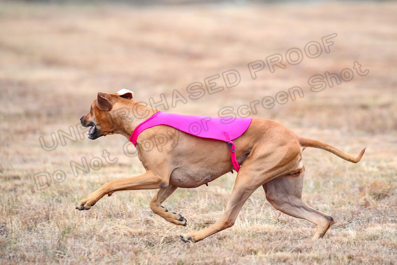 Finals Specials 1, Zoey Fia Sonora-6332