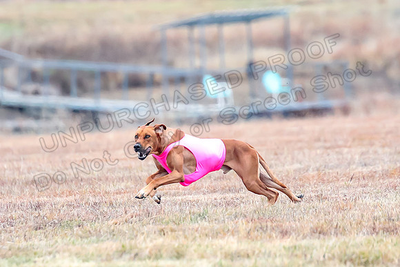 Finals Specials 3, Tori Spud Ariel-6442