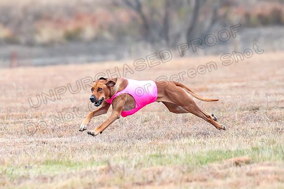 Finals Specials 3, Tori Spud Ariel-6448
