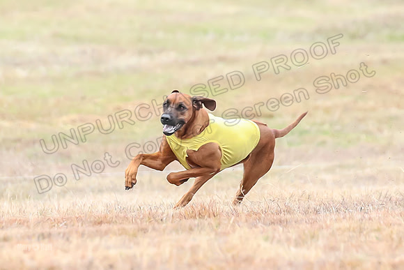 Finals Specials 4, Sugar Charlotte Nilla-6472