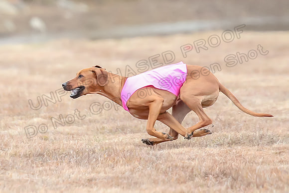 Finals Specials 4, Sugar Charlotte Nilla-6504