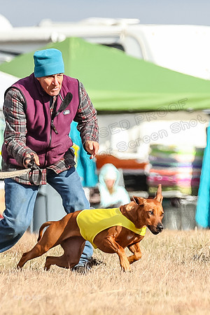 Run-Offs-BOB-6977