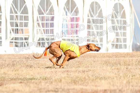 Run-Offs-BOB-6982