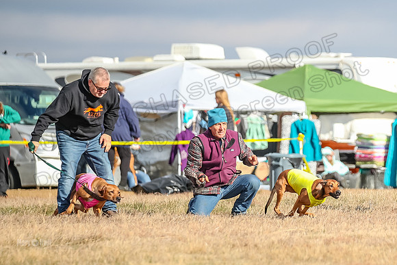 Run-Offs-BOB-7057