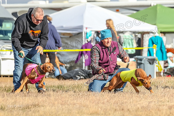 Run-Offs-BOB-7055