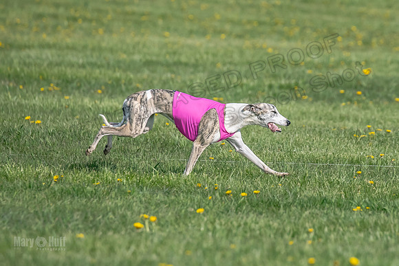 1Prelims Open E1 Boujee Riptide Zaza-0736